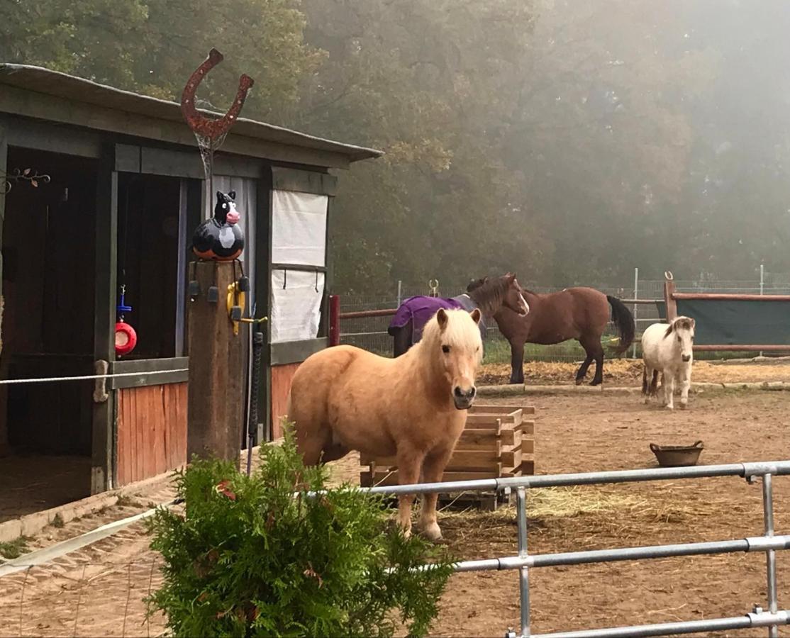Ferienwohnung Scherr Neunburg vorm Wald Esterno foto